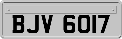 BJV6017