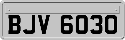 BJV6030