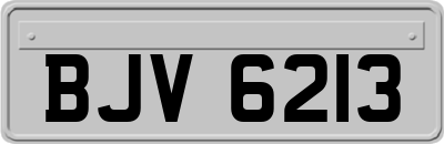 BJV6213