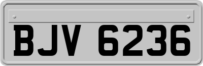 BJV6236