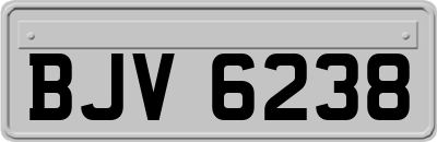 BJV6238