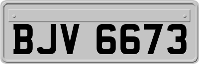 BJV6673