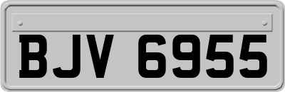 BJV6955