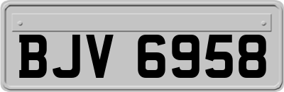 BJV6958