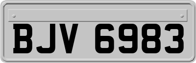 BJV6983