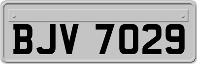 BJV7029