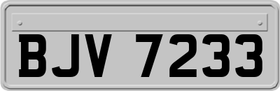 BJV7233