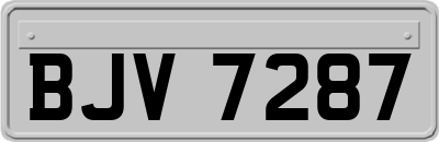 BJV7287