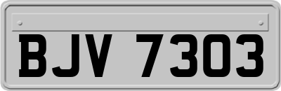 BJV7303