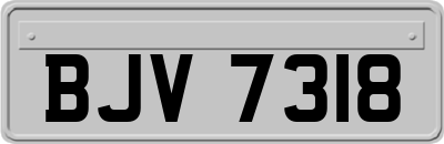 BJV7318