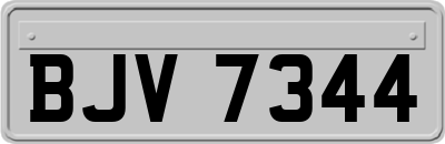 BJV7344
