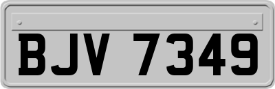 BJV7349