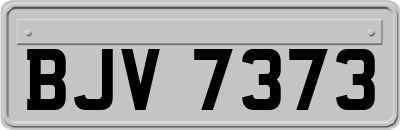BJV7373