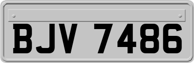 BJV7486