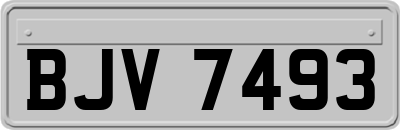 BJV7493
