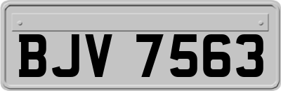 BJV7563
