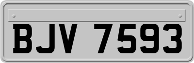 BJV7593