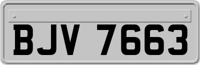 BJV7663