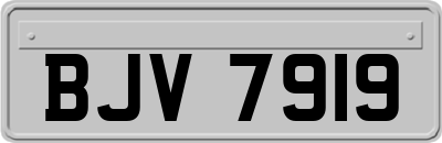 BJV7919