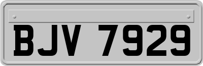 BJV7929