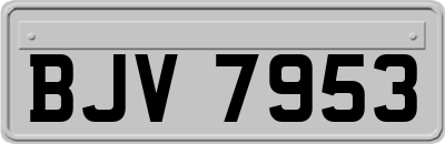 BJV7953