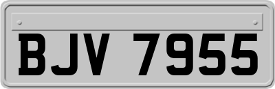 BJV7955