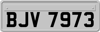 BJV7973
