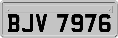 BJV7976