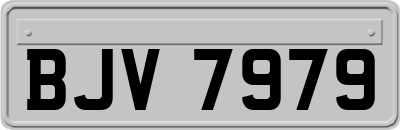 BJV7979