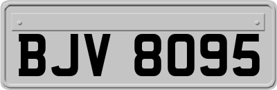 BJV8095