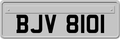 BJV8101