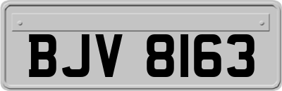 BJV8163