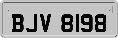 BJV8198