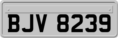 BJV8239