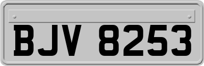 BJV8253