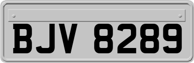 BJV8289