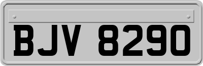 BJV8290