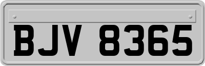 BJV8365