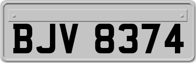 BJV8374
