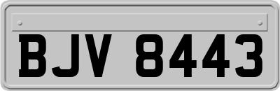BJV8443