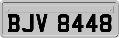 BJV8448