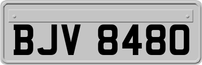 BJV8480