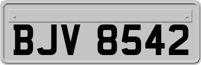 BJV8542
