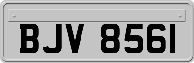 BJV8561