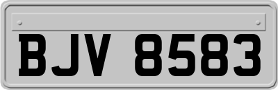 BJV8583