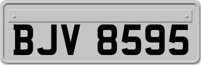 BJV8595