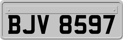 BJV8597