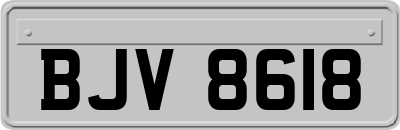 BJV8618