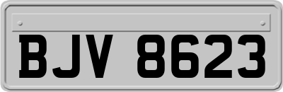 BJV8623