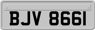 BJV8661